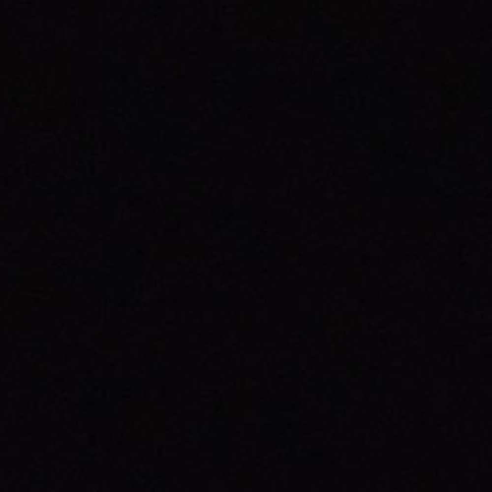 Meet your Posher, Taz